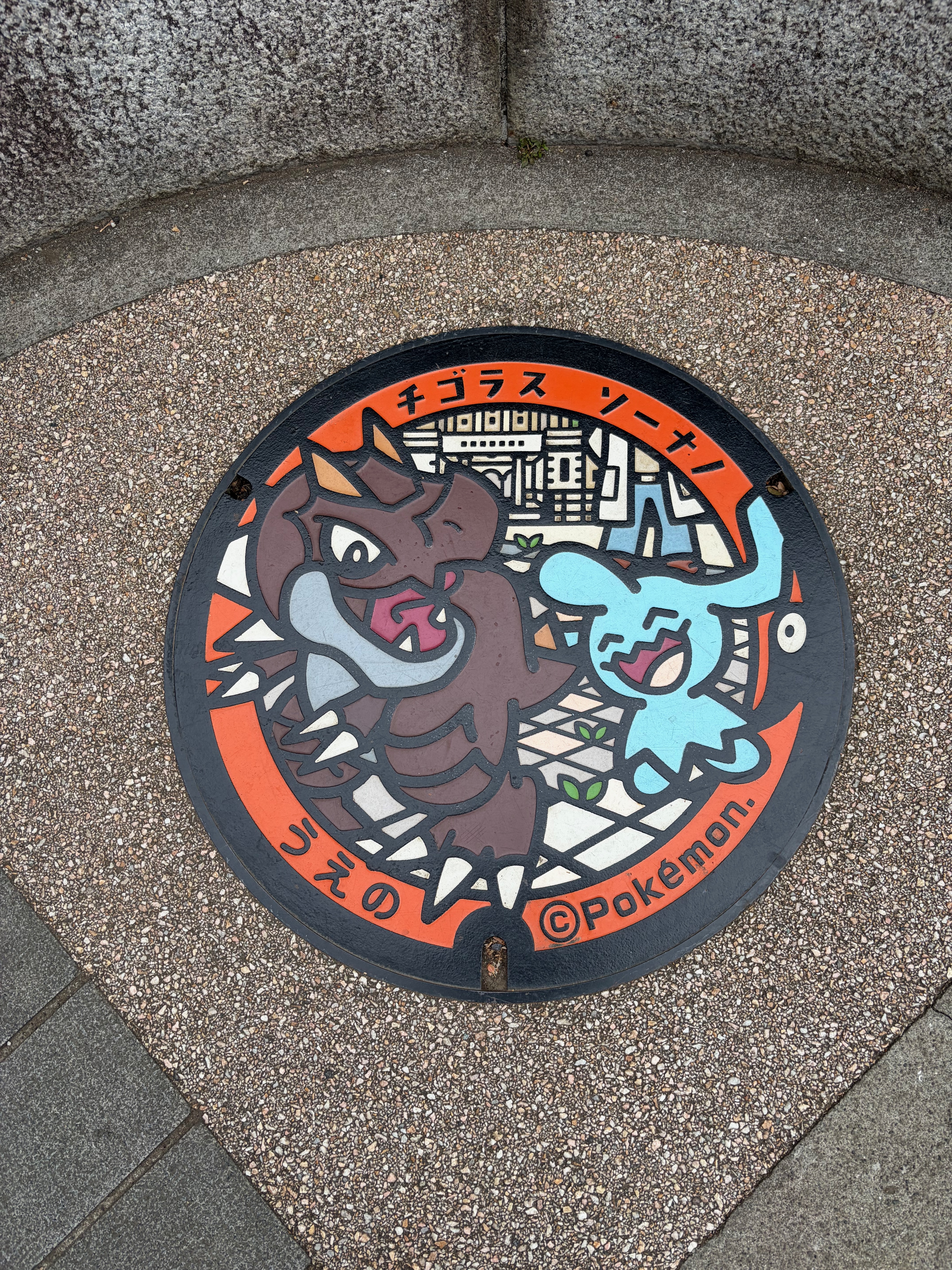 Maintenance Hole Cover