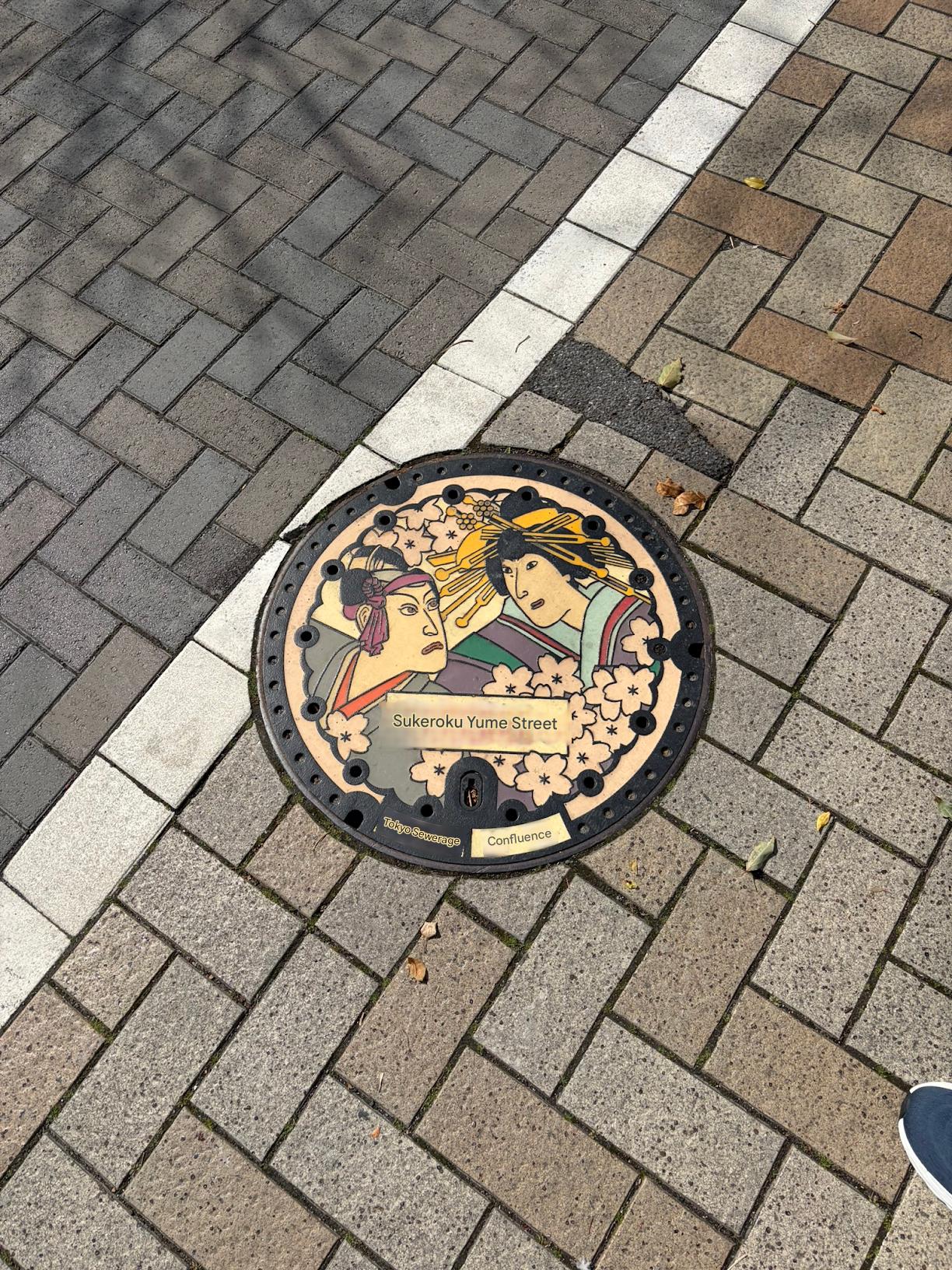 Maintenance Hole Cover