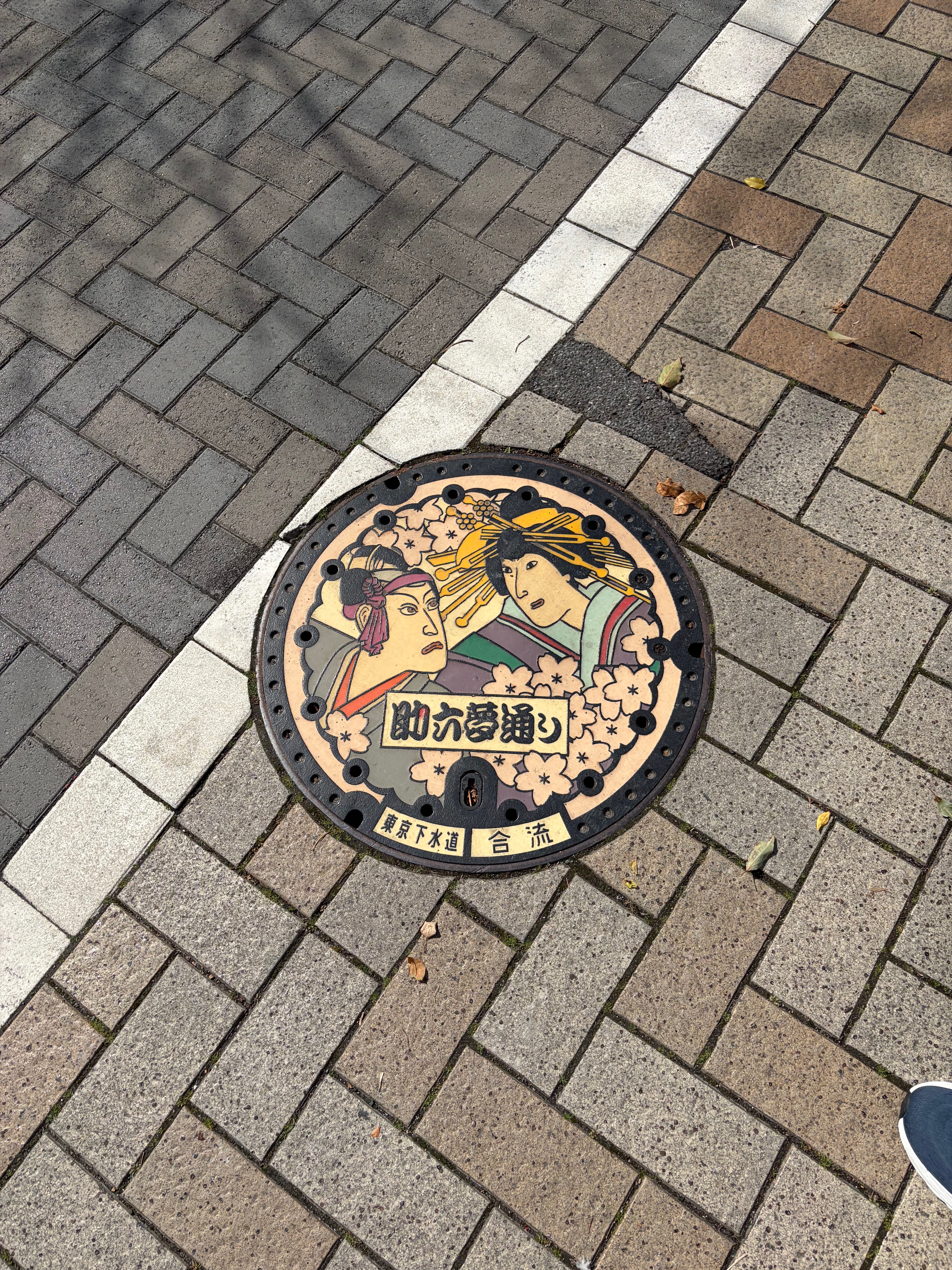 Maintenance Hole Cover