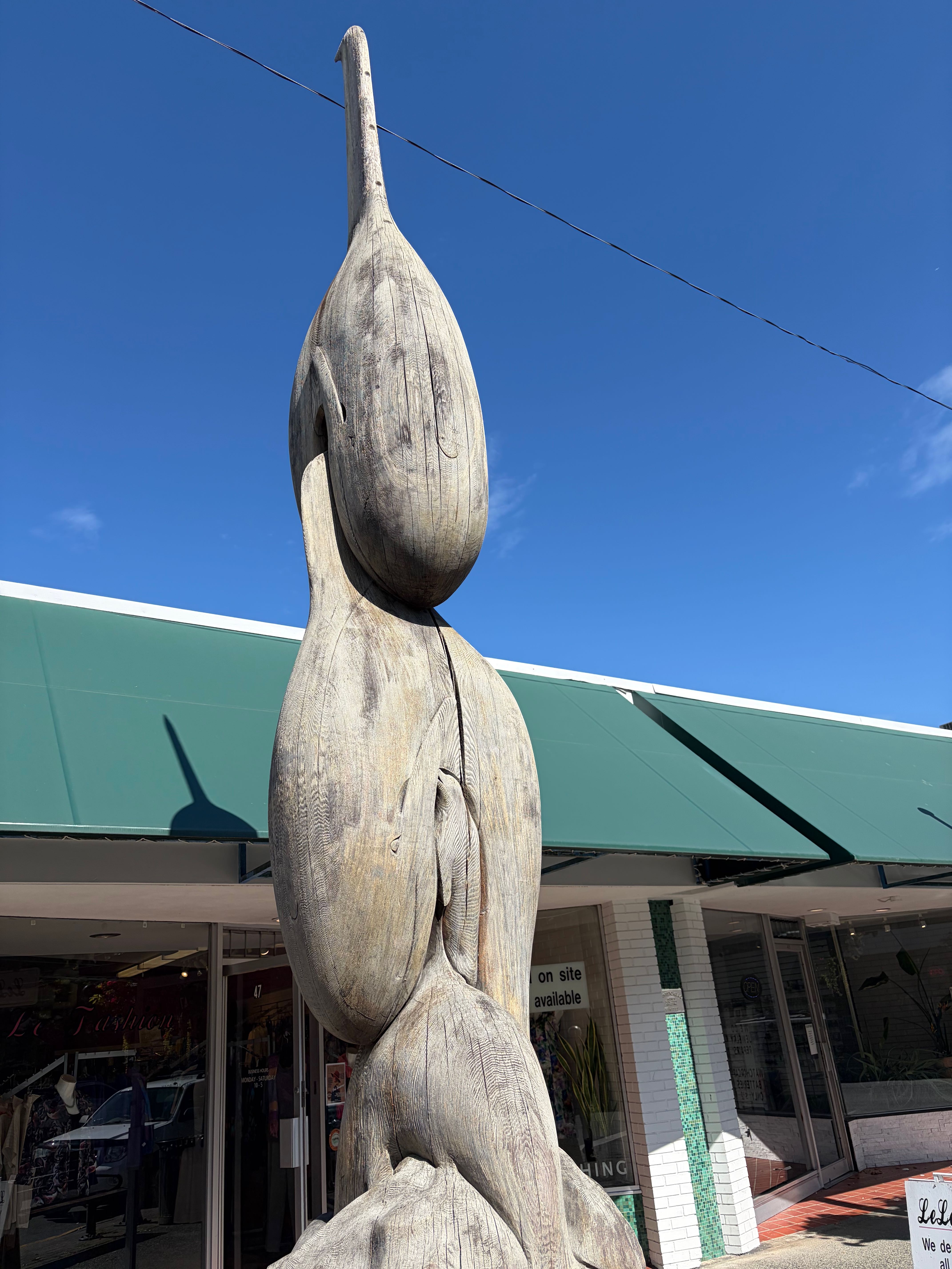 Vancouver trip photo 8
