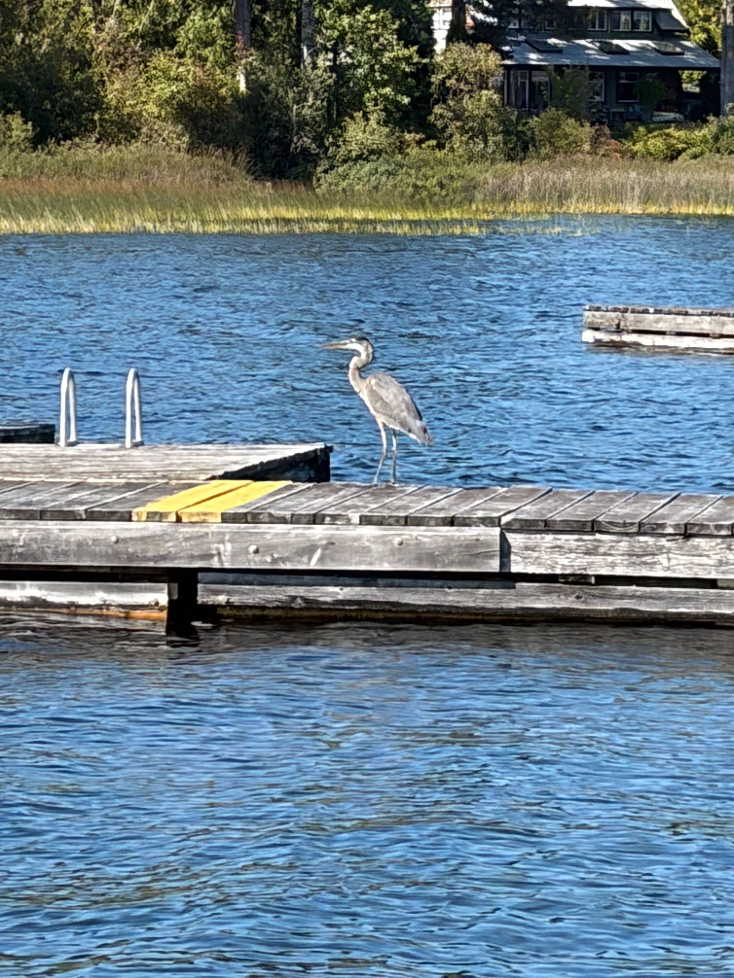 Vancouver trip photo 15